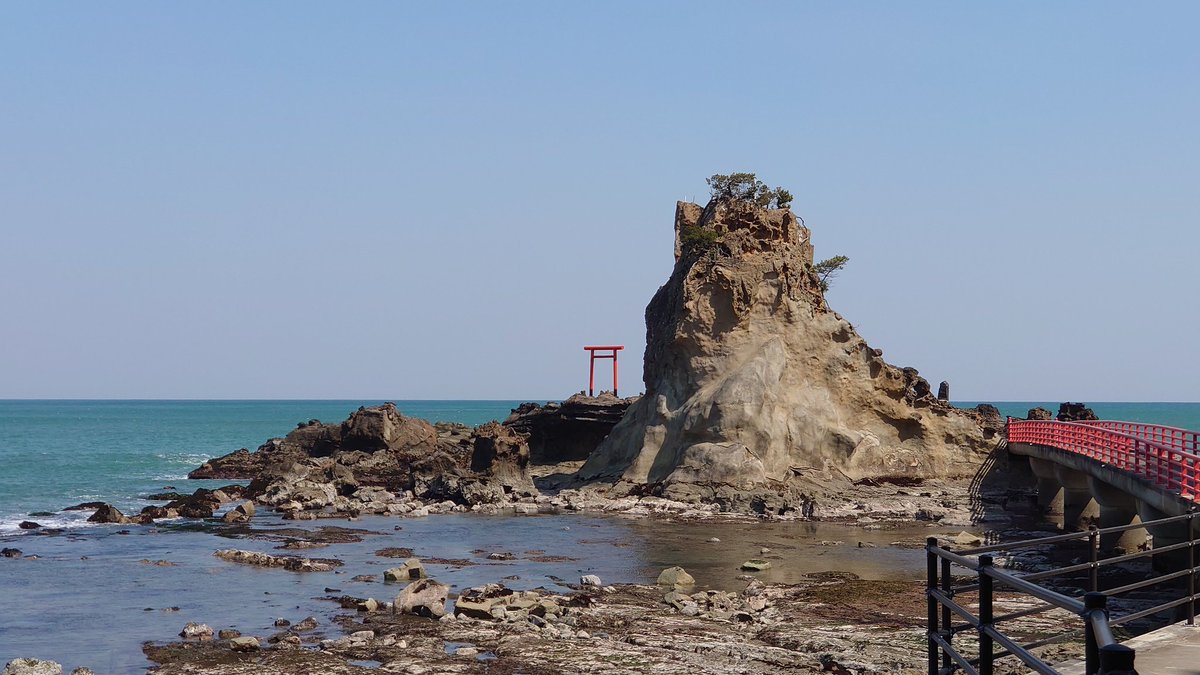 鮭ハラス tweet media