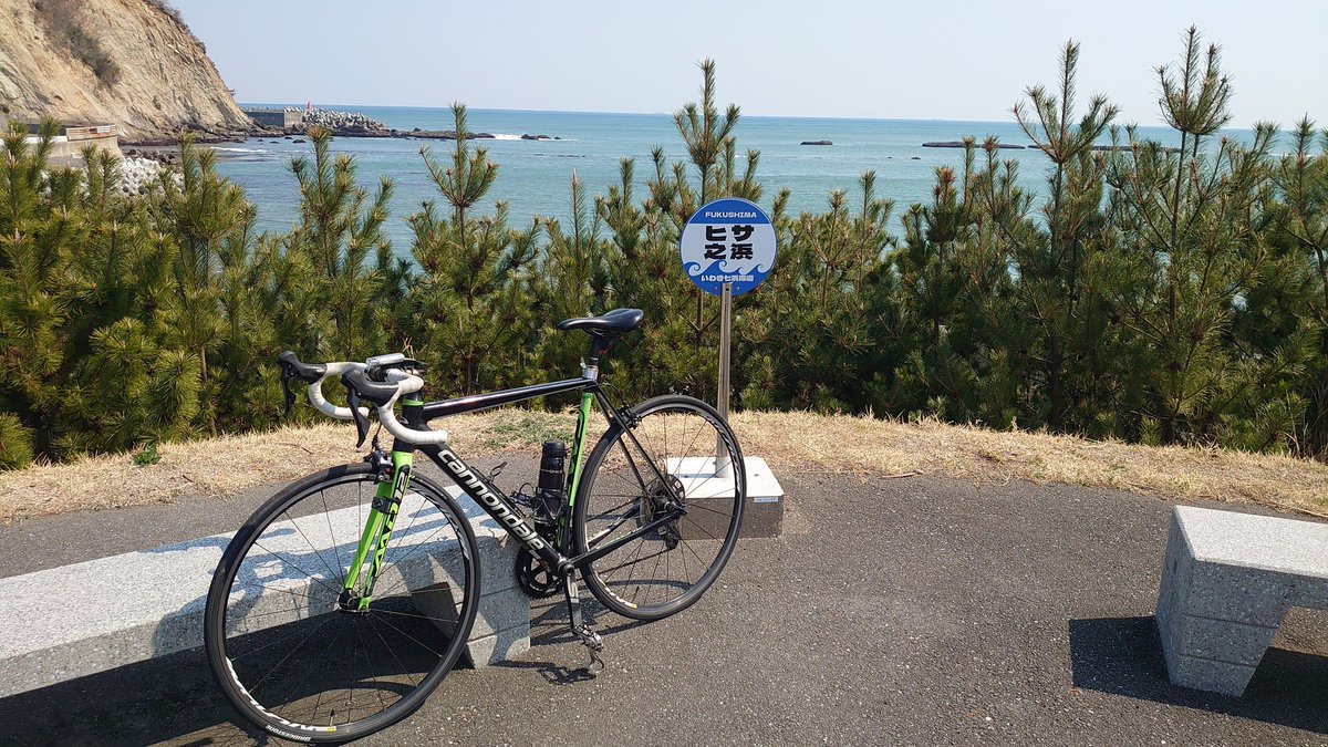 鮭ハラス tweet media