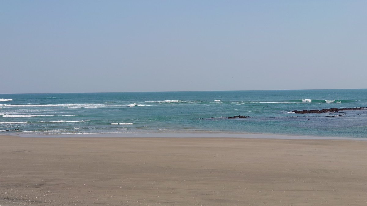 鮭ハラス tweet media