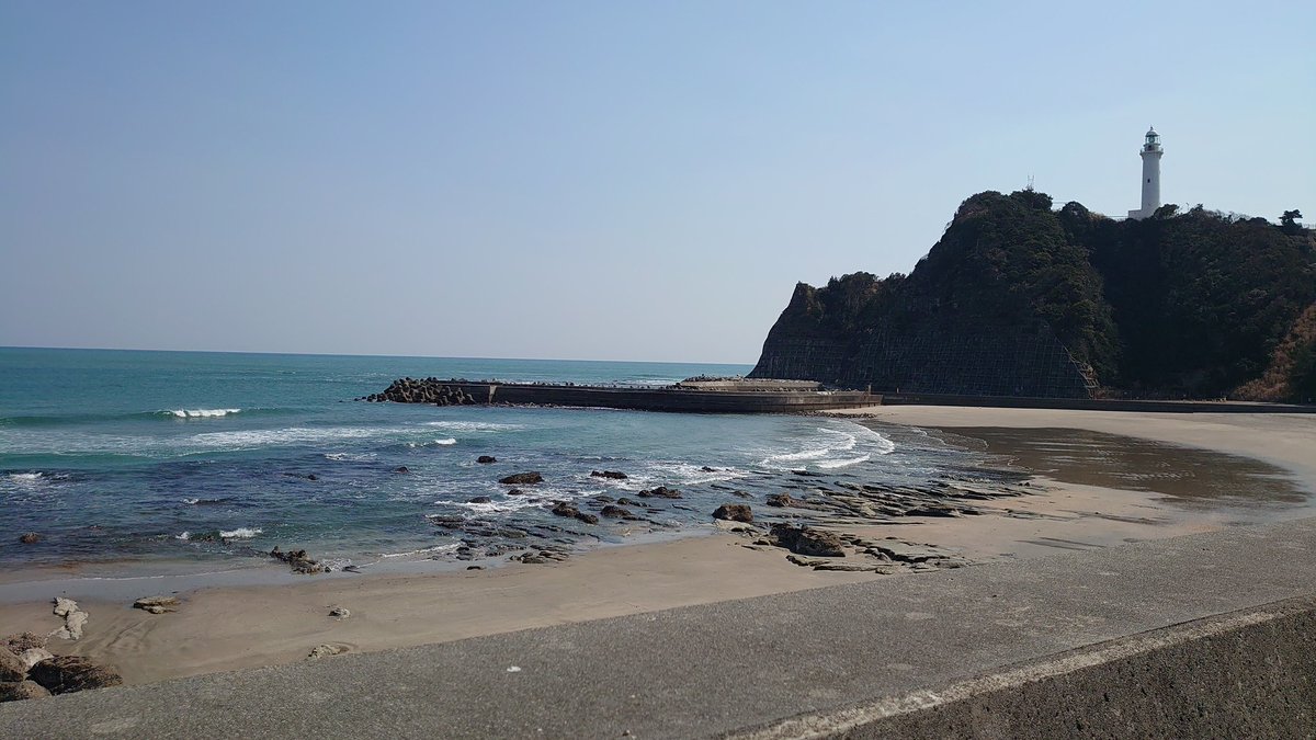 鮭ハラス tweet media