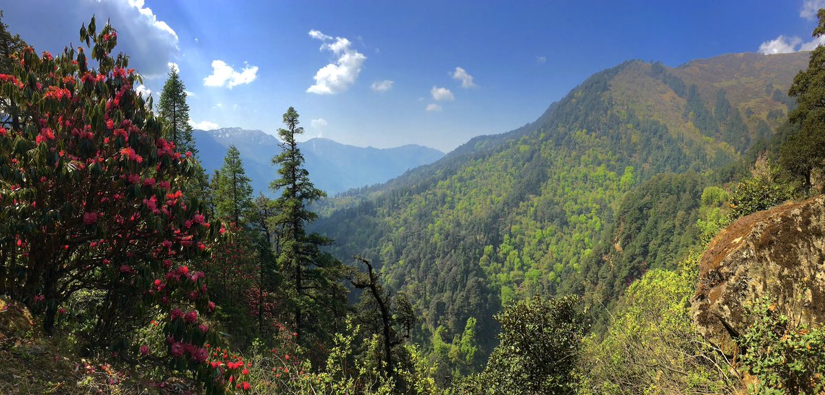 Nagaraj Balasubramanian tweet media