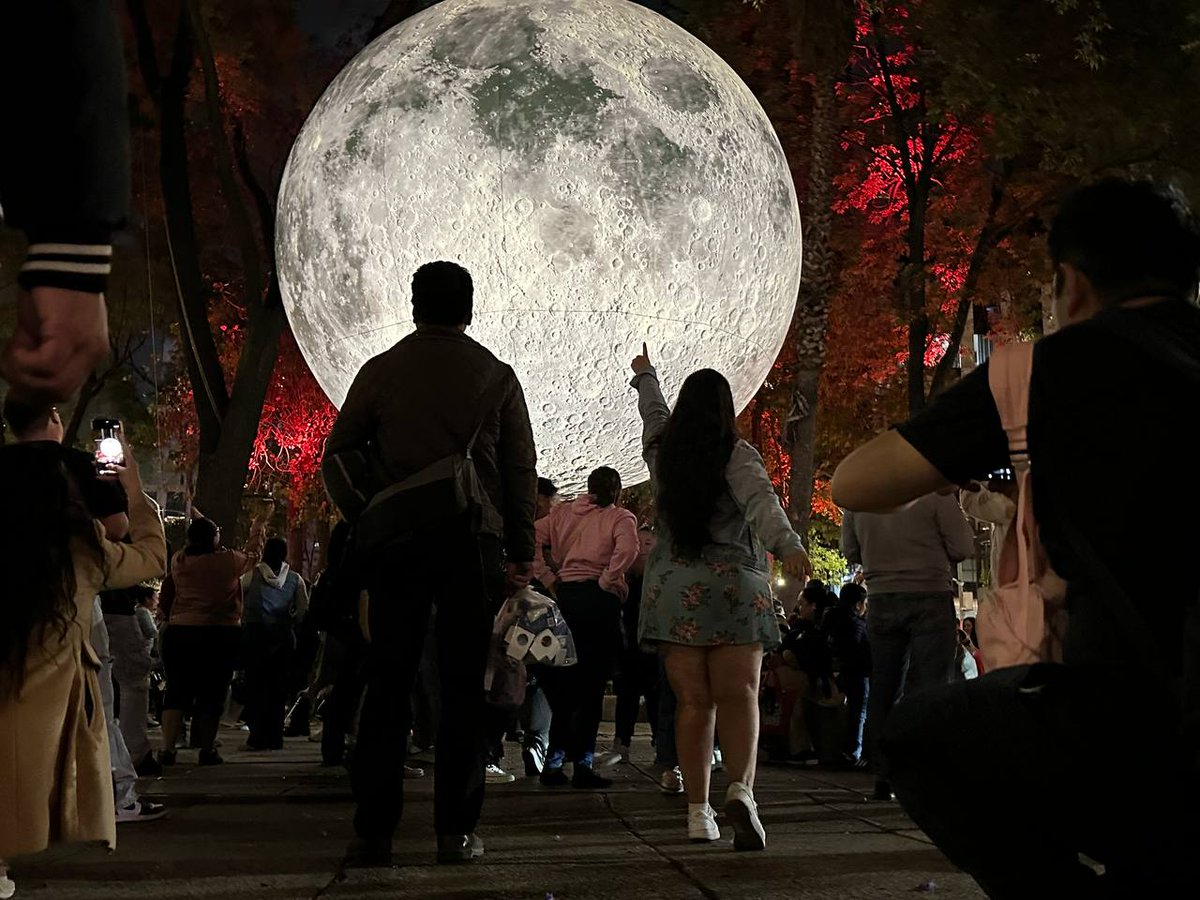 Webcams de México tweet media