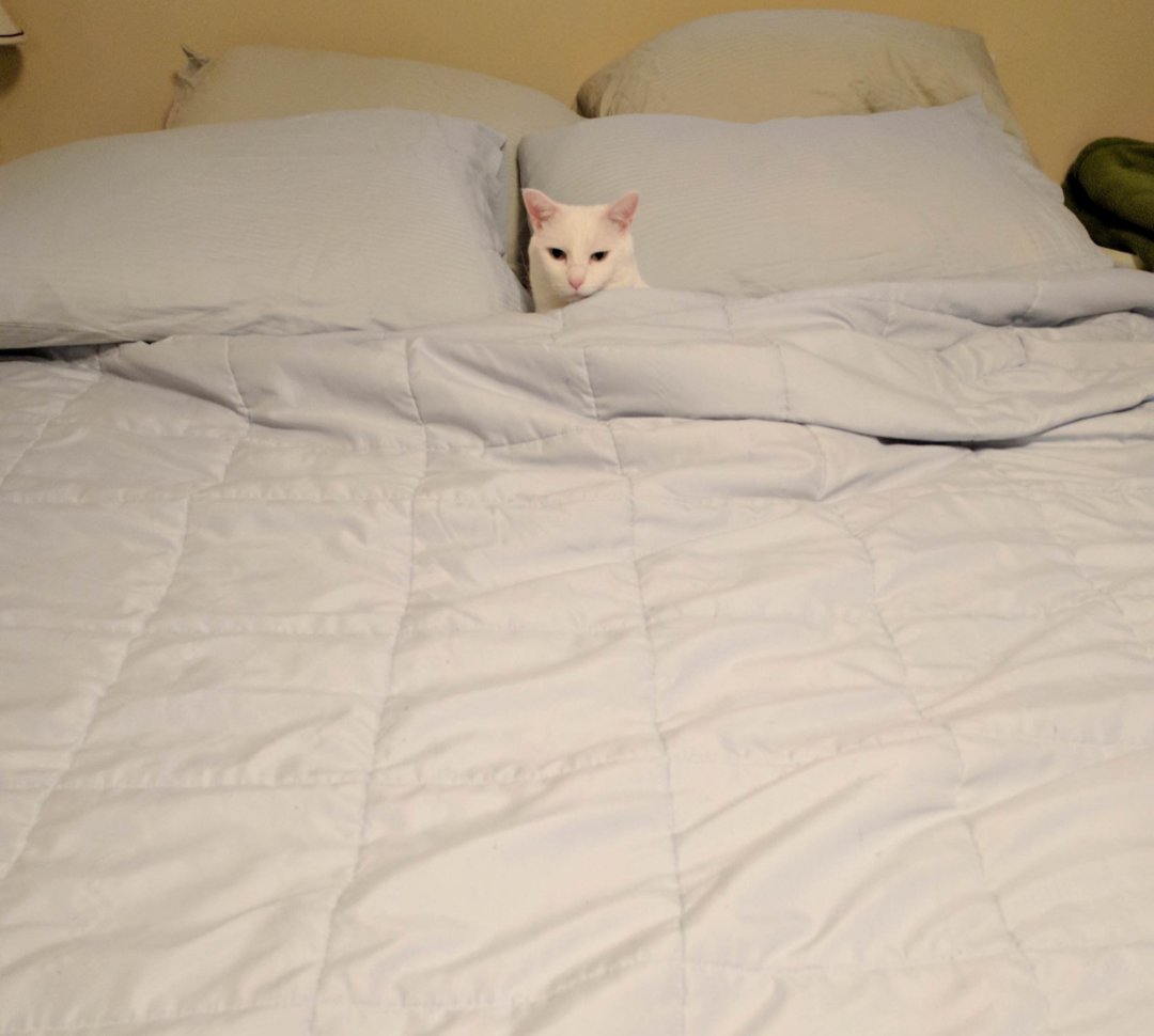 Viktor Talis tweet media