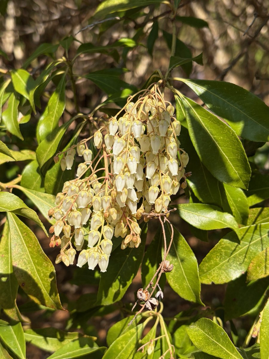 埼玉県立嵐山史跡の博物館 tweet media