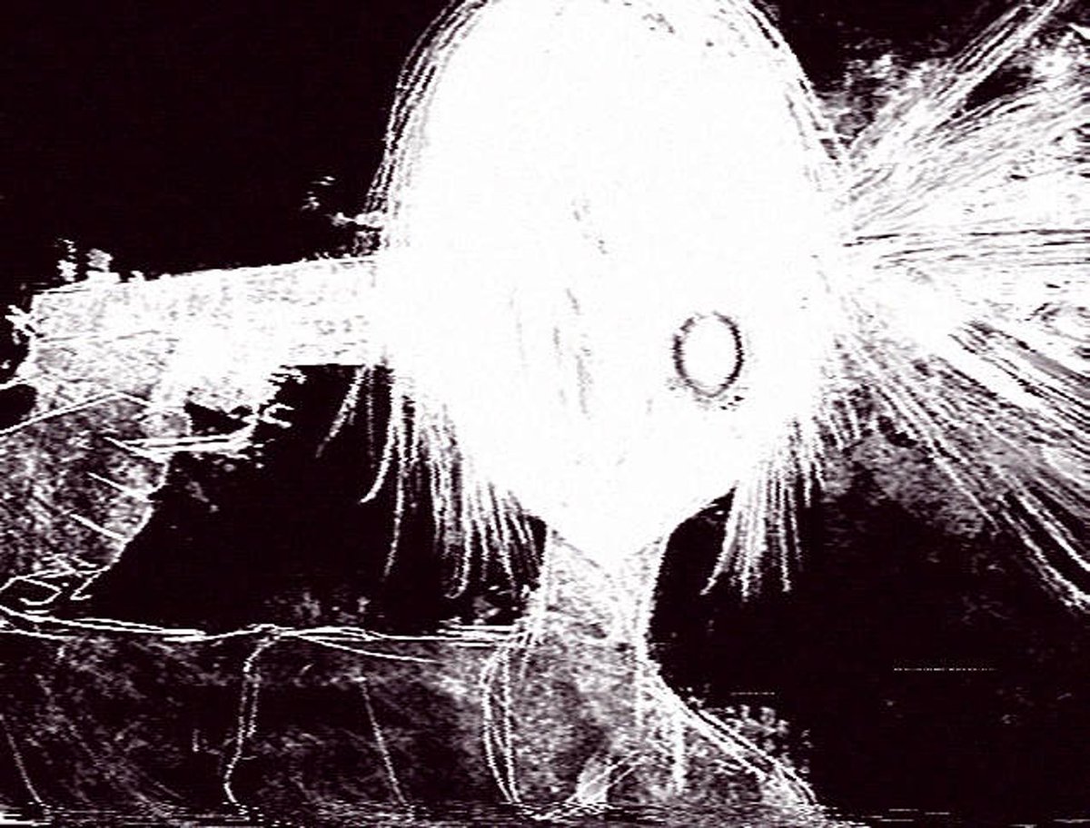 知道这个梦 tweet media