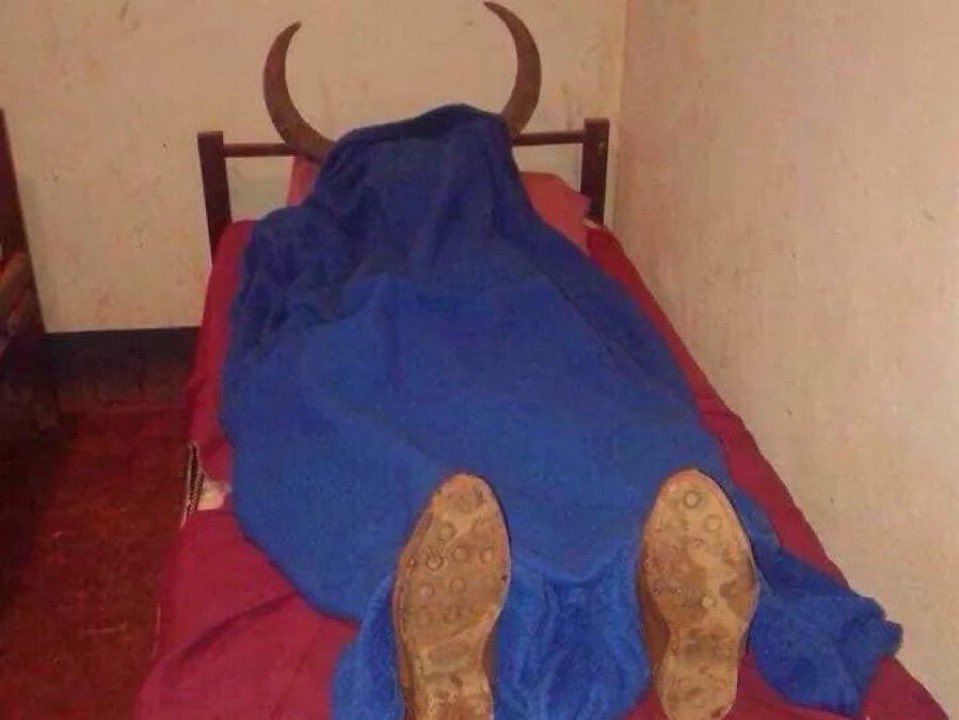 Alberto Cowboy 🤠 tweet media