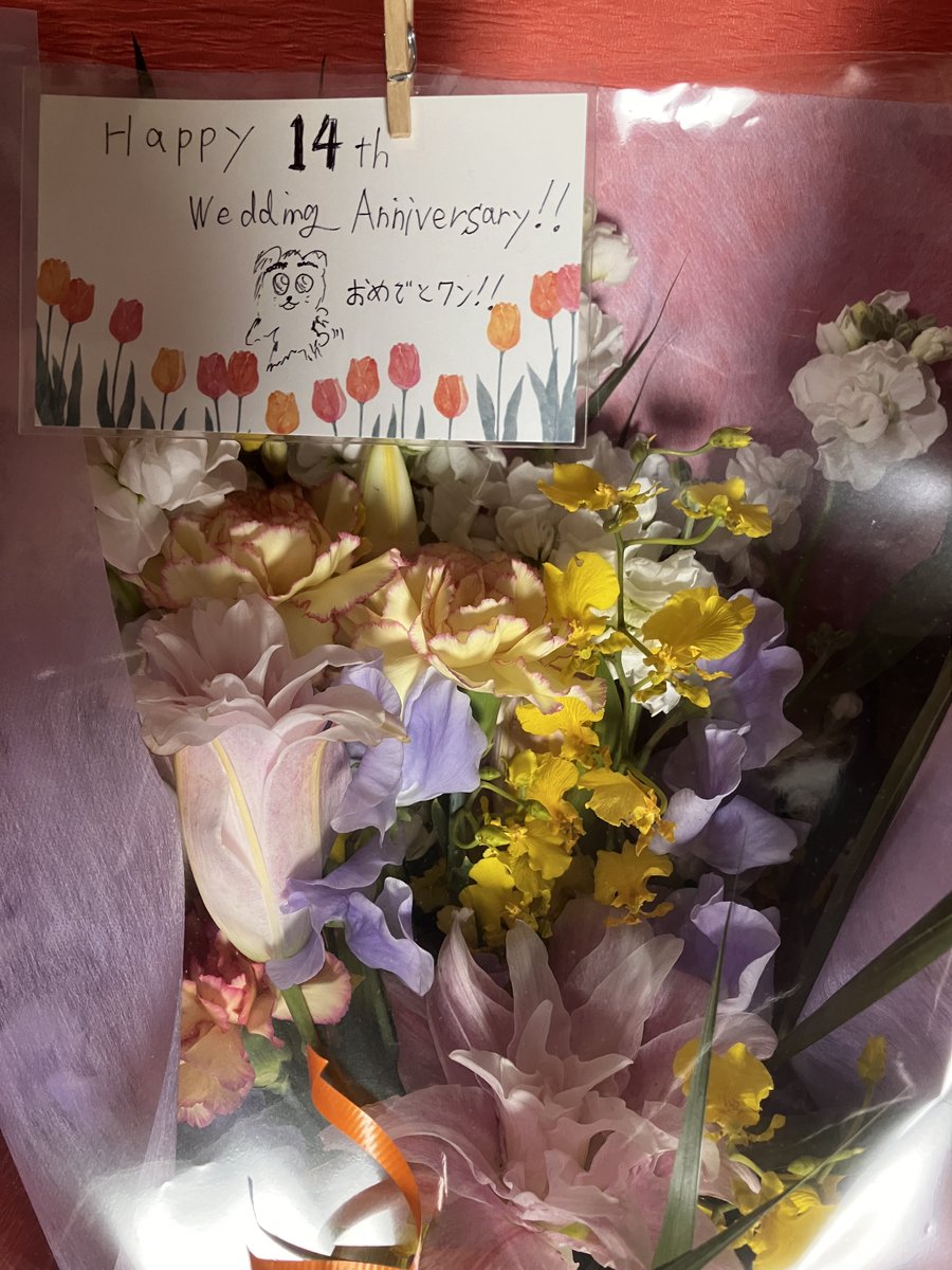 くま【くまーぬ】 tweet media