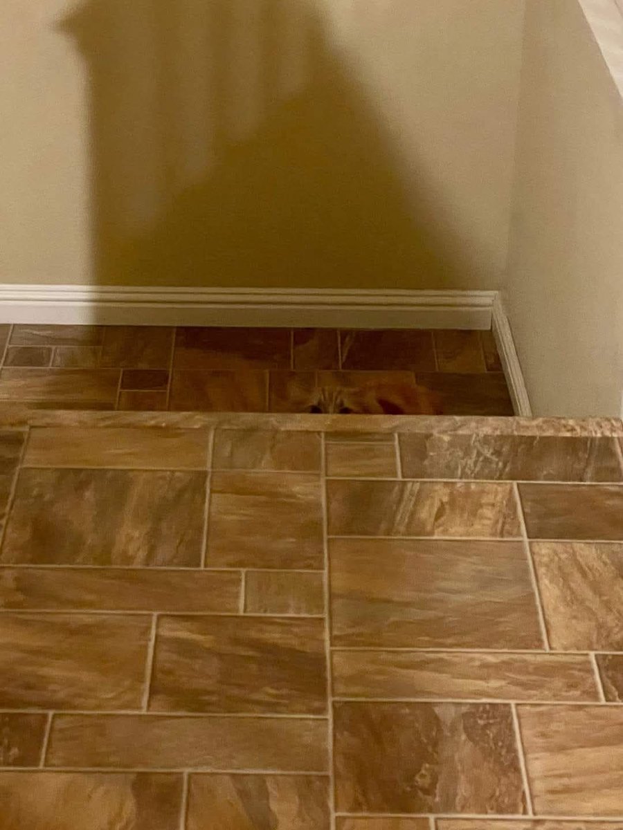 Ulrike Lebt tweet media