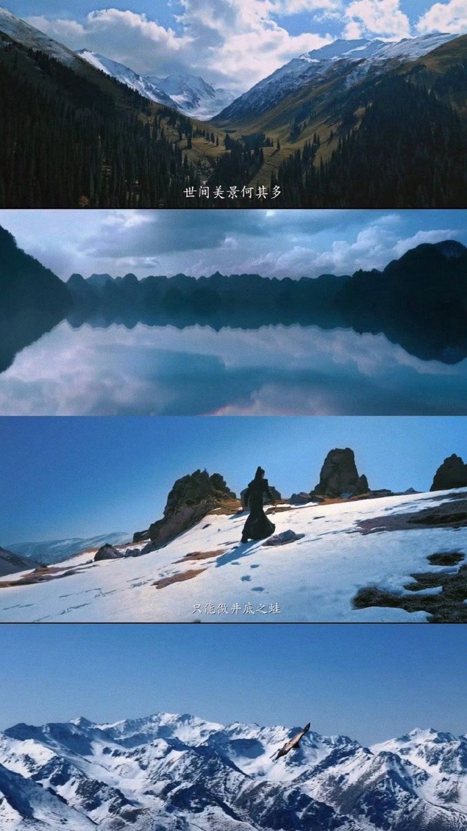 graham vaughan tweet media