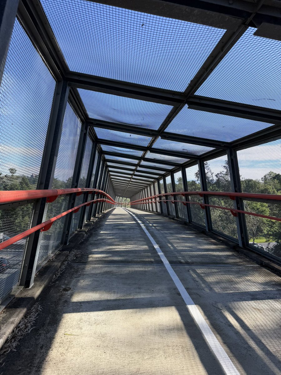 Guy Schweitzer tweet media