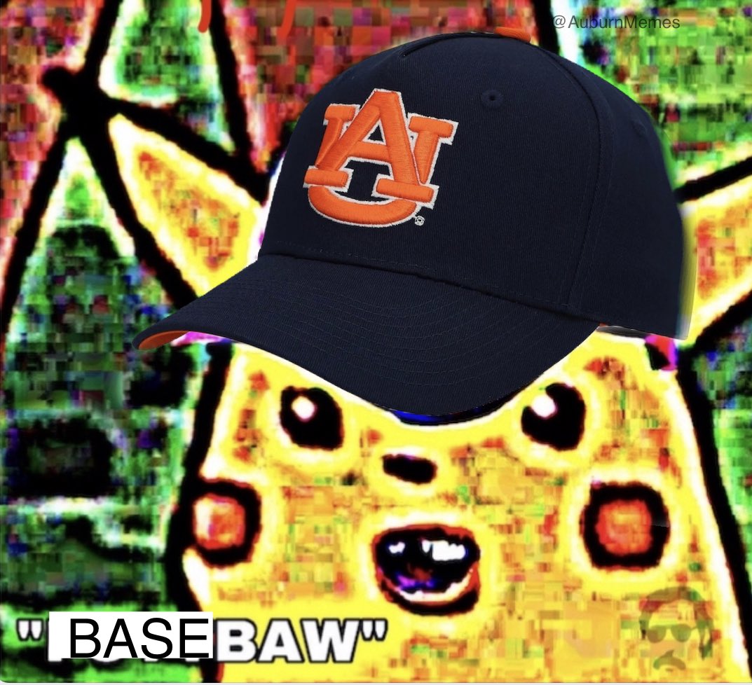Auburn Memes tweet media