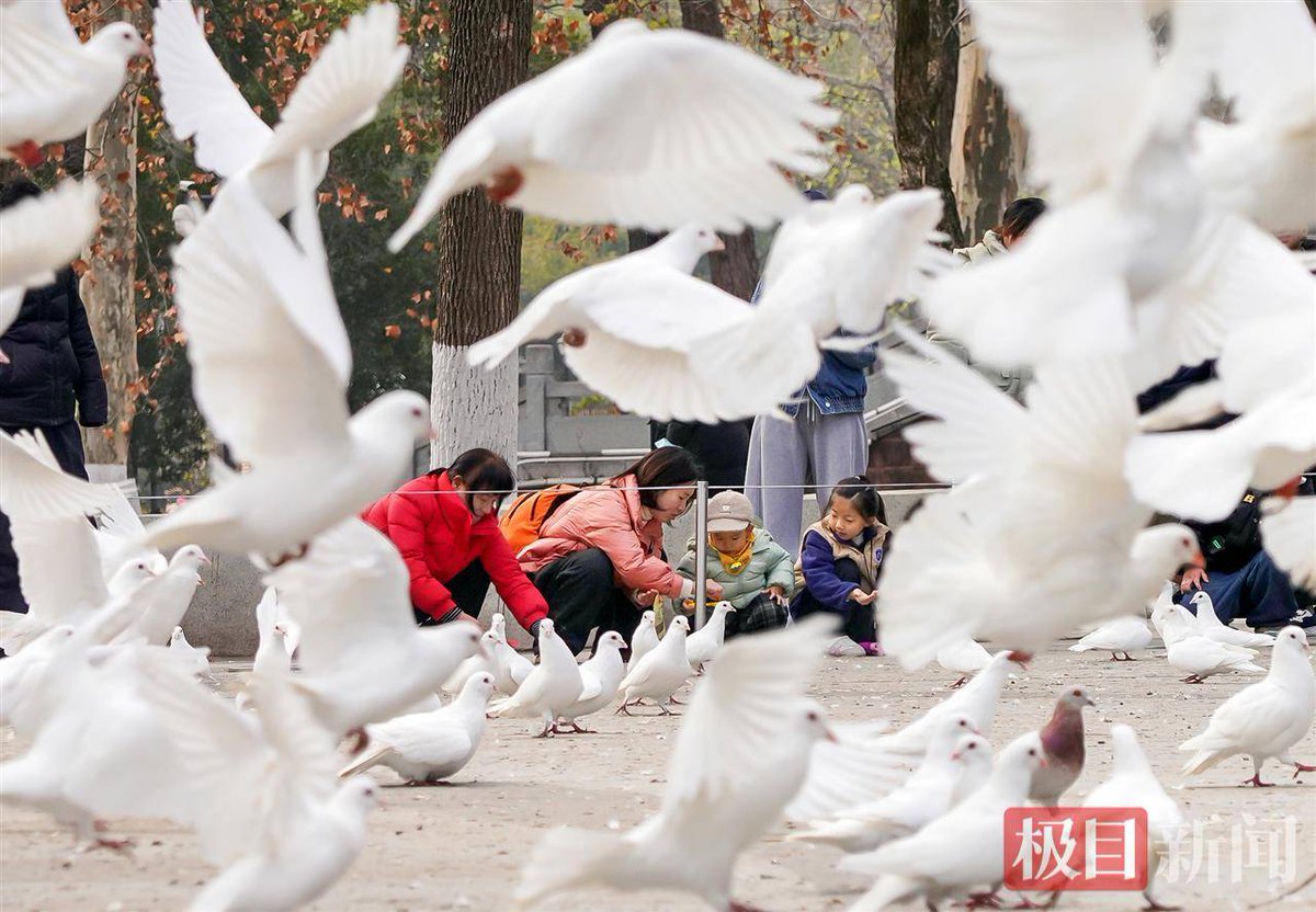 ernie francisco tweet media