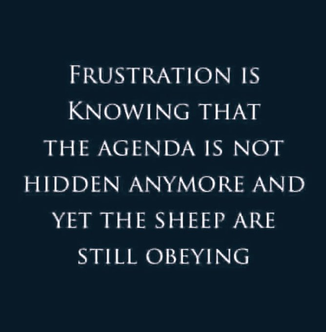 Wall Street Mav tweet media