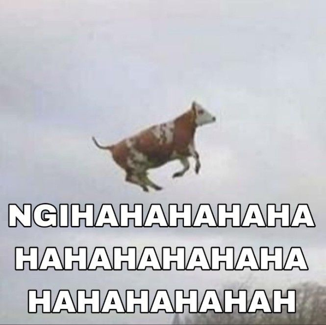 𝑆hasa tweet media