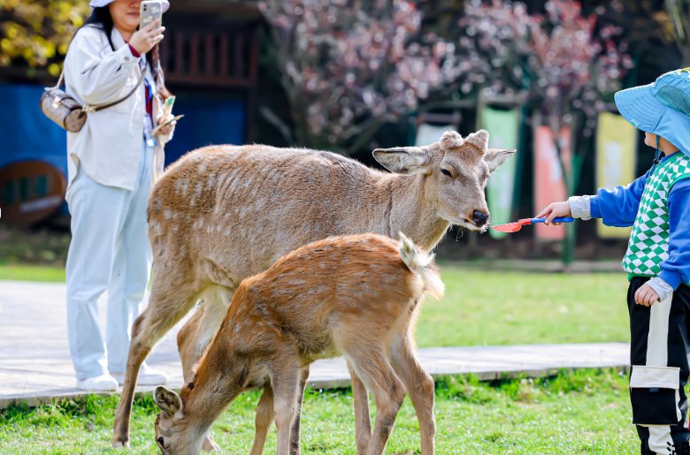 Ayman Rahmani tweet media