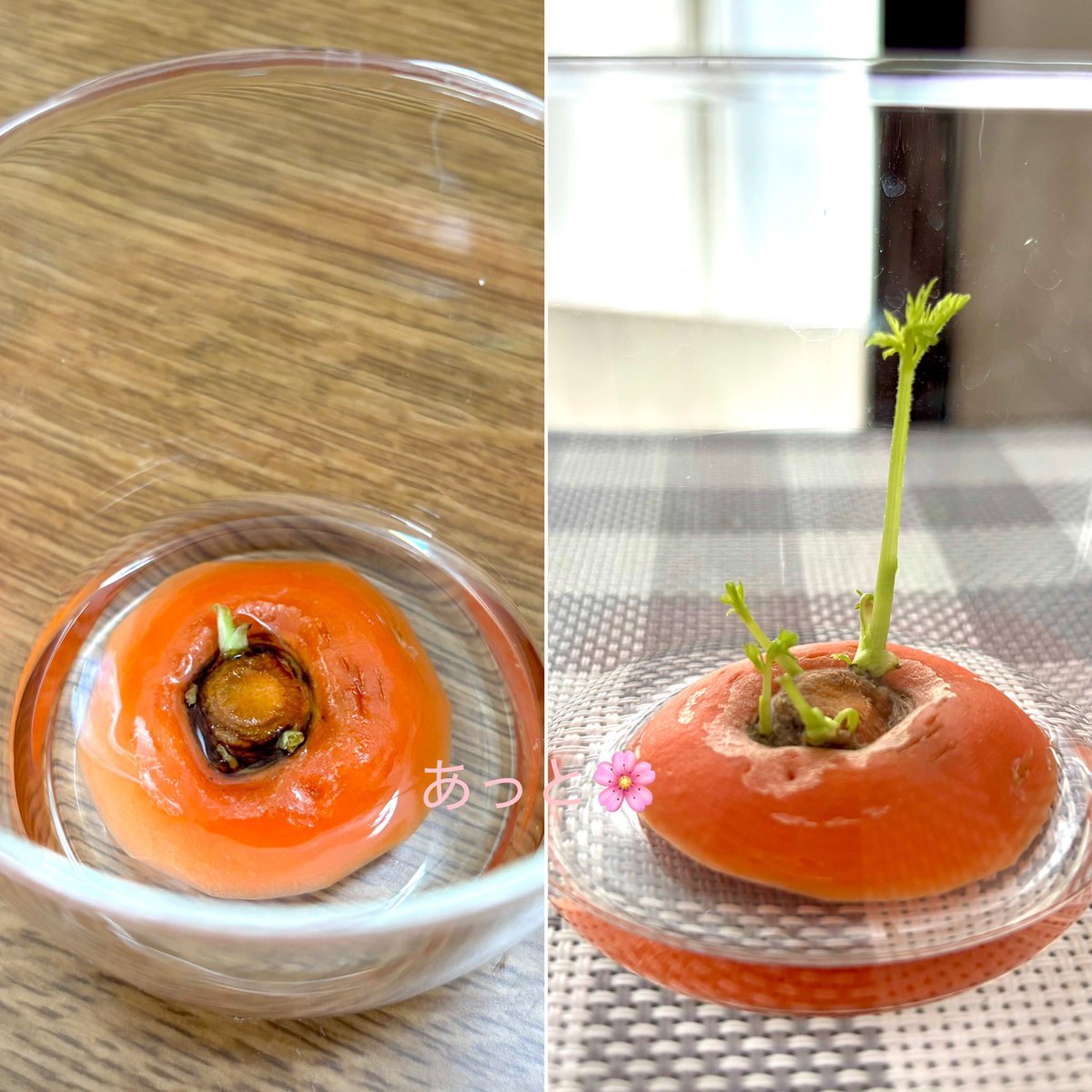 あっと🌸 tweet media