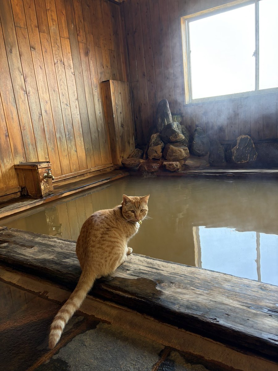 ミルオ tweet media