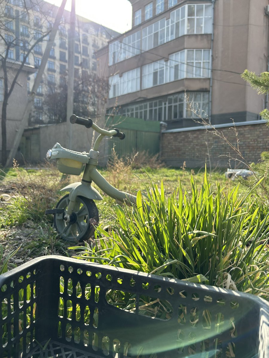 Биполярный панда tweet media