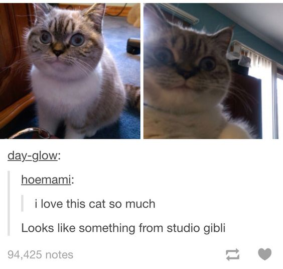 WholesomeMemes tweet media