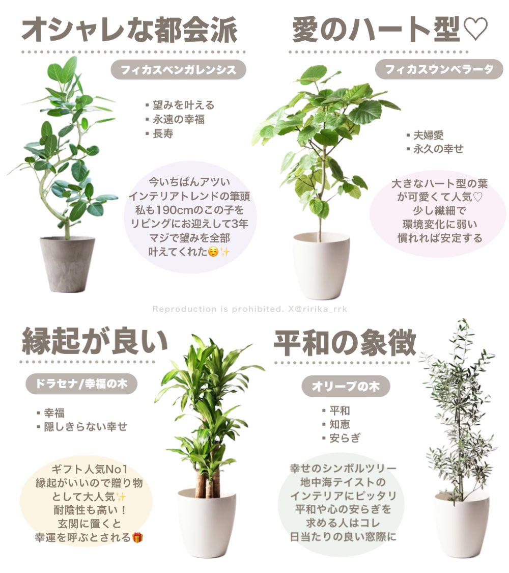 鷹ノ爪リリカ tweet media