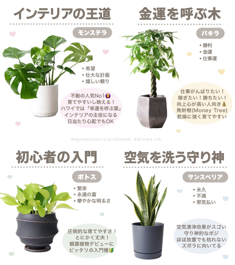 鷹ノ爪リリカ tweet media