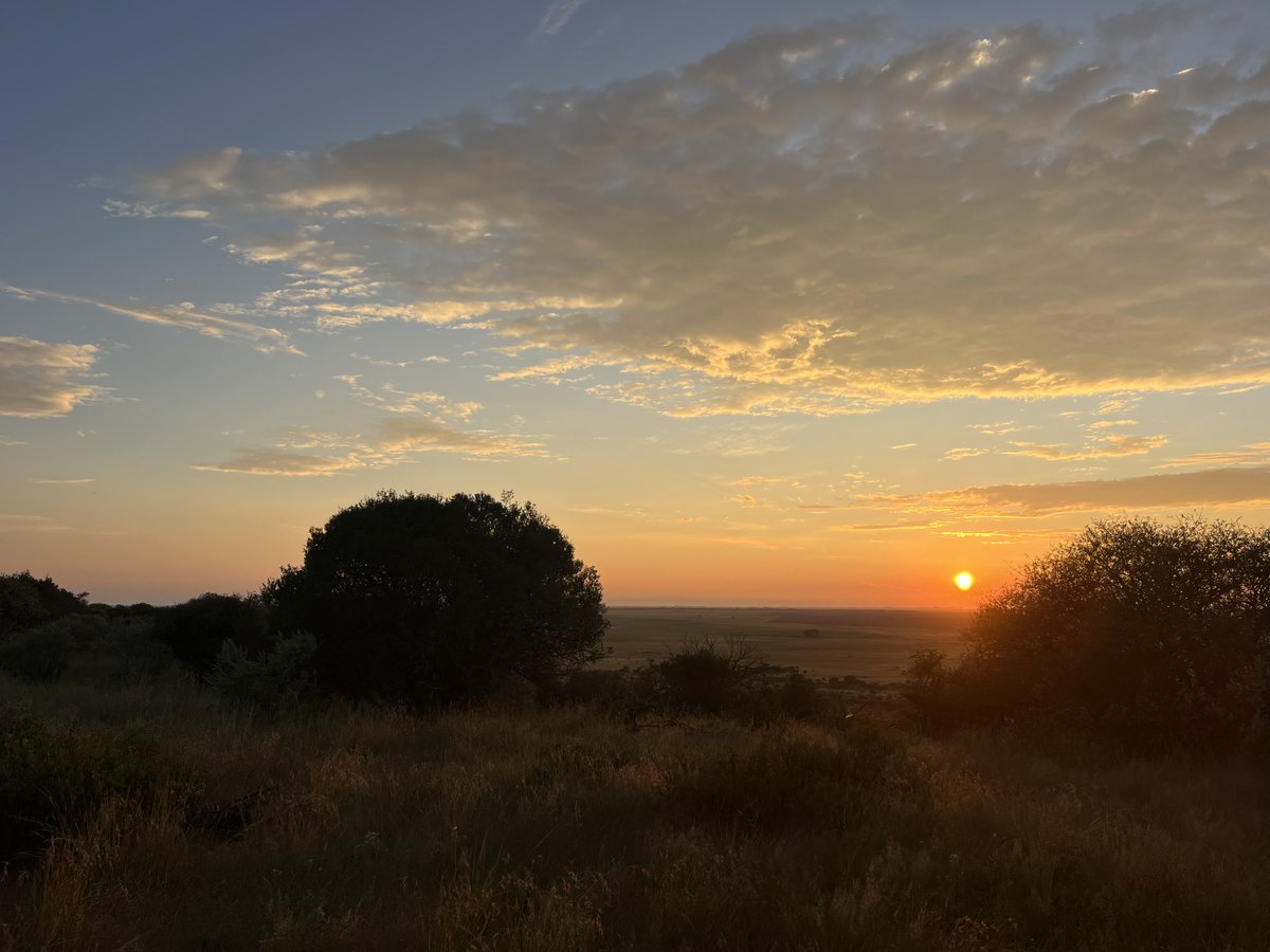 Paseka Pienaar tweet media