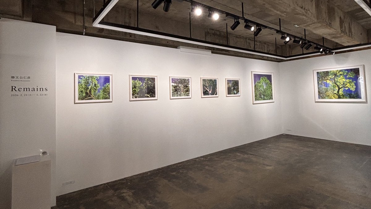 パープル/PURPLE tweet media