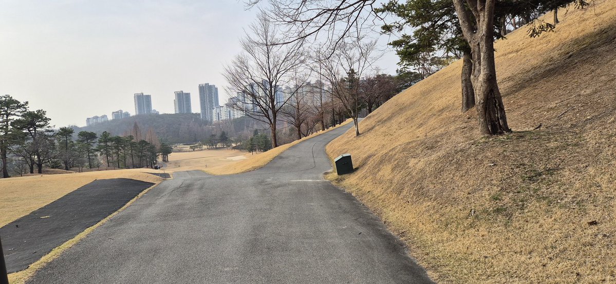 디벨로퍼 tweet media