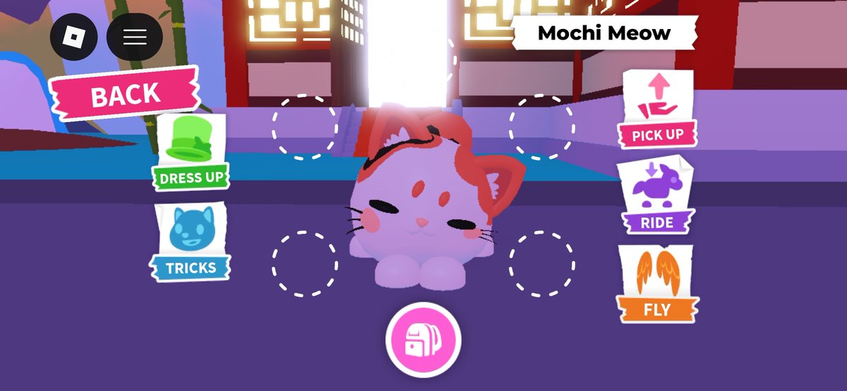 Bububear tweet media