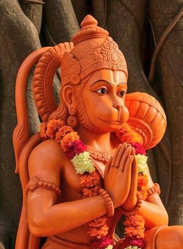 Archana🤍 tweet media