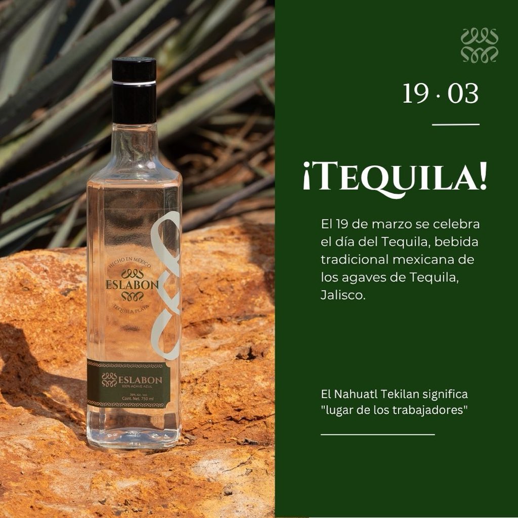 tequilaeslabon's tweet photo. Nuestra historia apenas comienza a escribirse, gota a gota. 💧🌵 

#tequilaeslabon #tequila #mexico #cultura #díadeltequila https://t.co/5pucVknWaQ