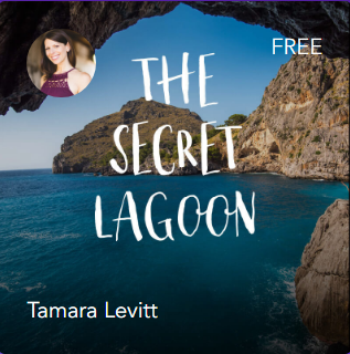 Steven Cravis tweet media