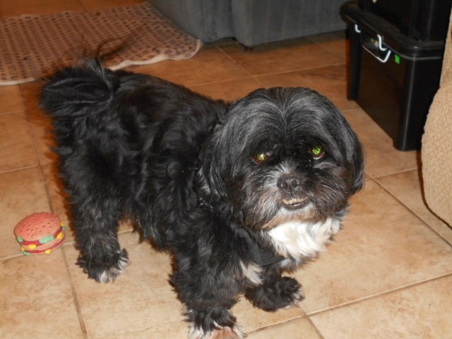 eth39232 tweet media