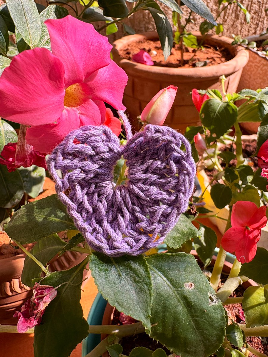 October Pixie tweet media