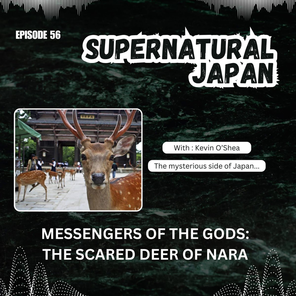 Kevin O’Shea tweet media