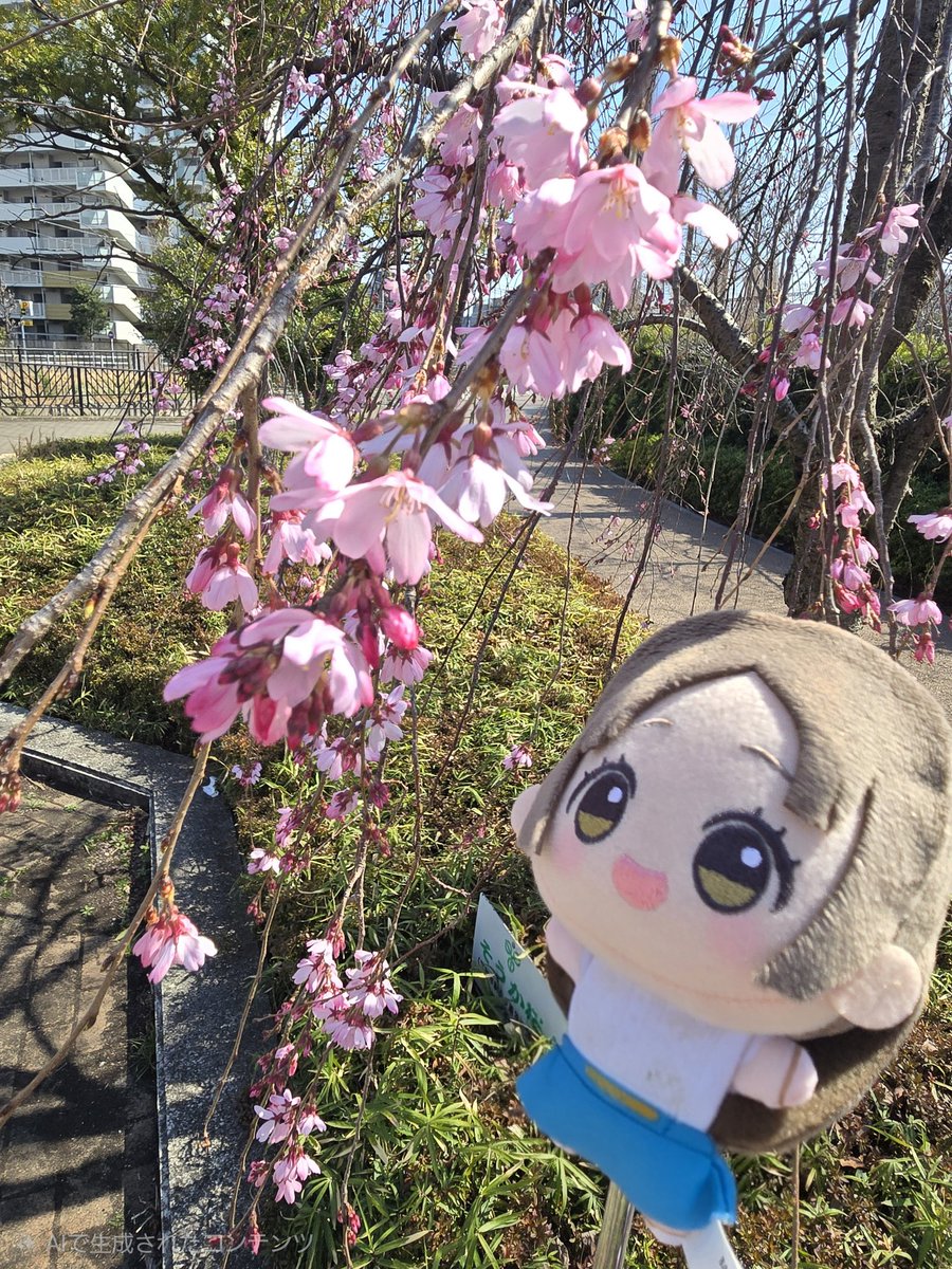 ツキカゲ tweet media