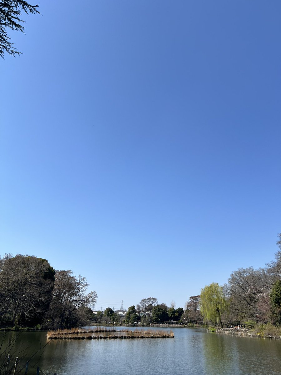 青木俊直:Toshinao Aoki🟦「つく憑くケイトさん」連載中！ tweet media