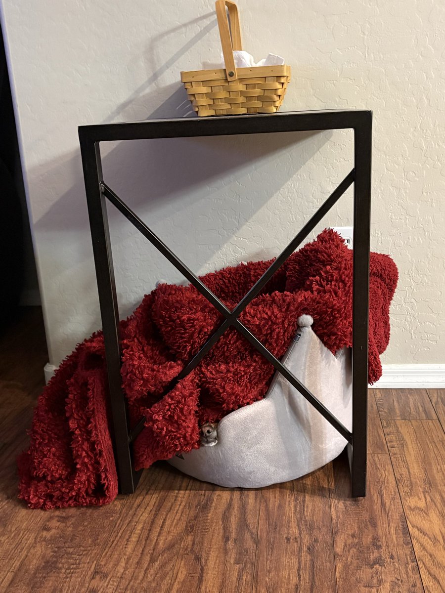 Yo, Mel!!! 🪻 tweet media