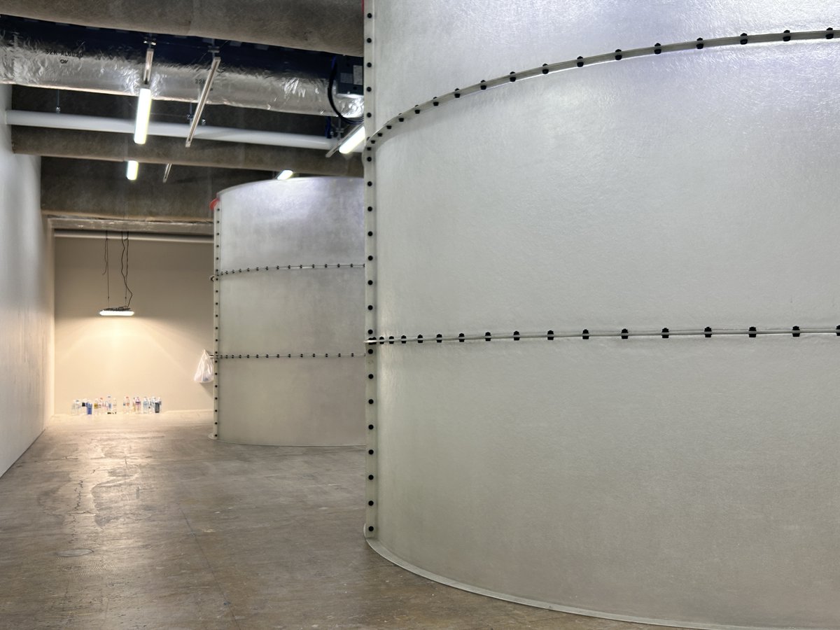 gallery αM tweet media