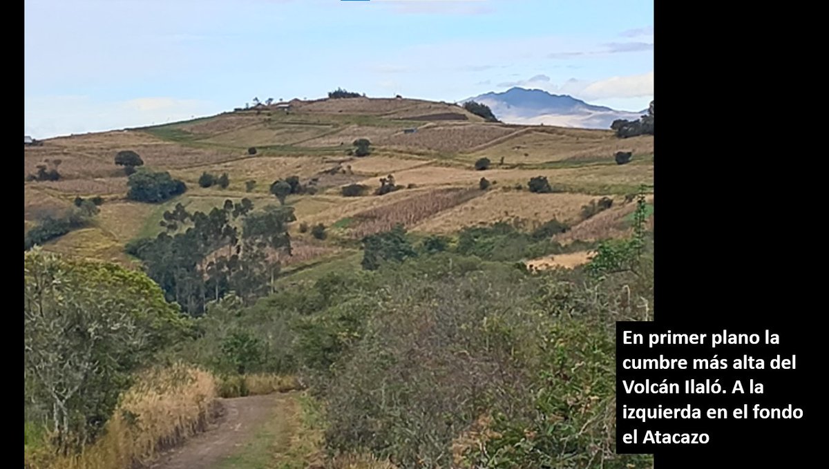 Ilalo Verde tweet media