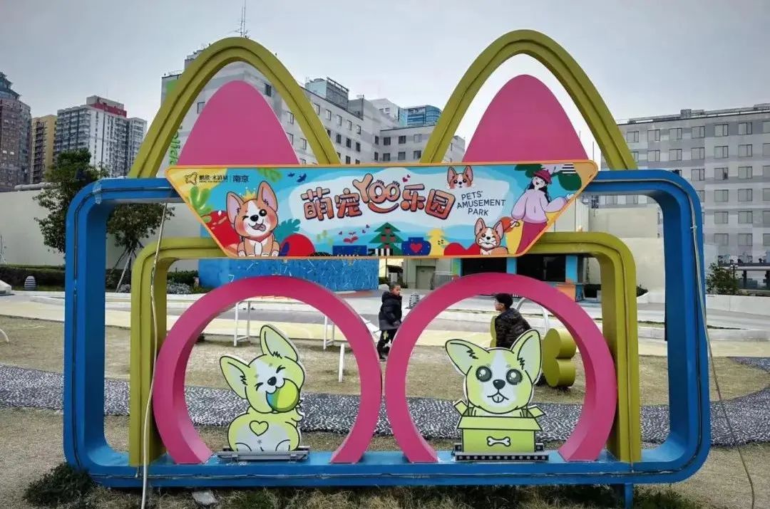 Liam Thomas Walsh tweet media