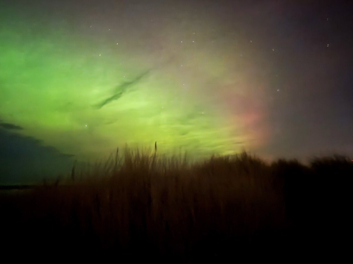 graham ross tweet media