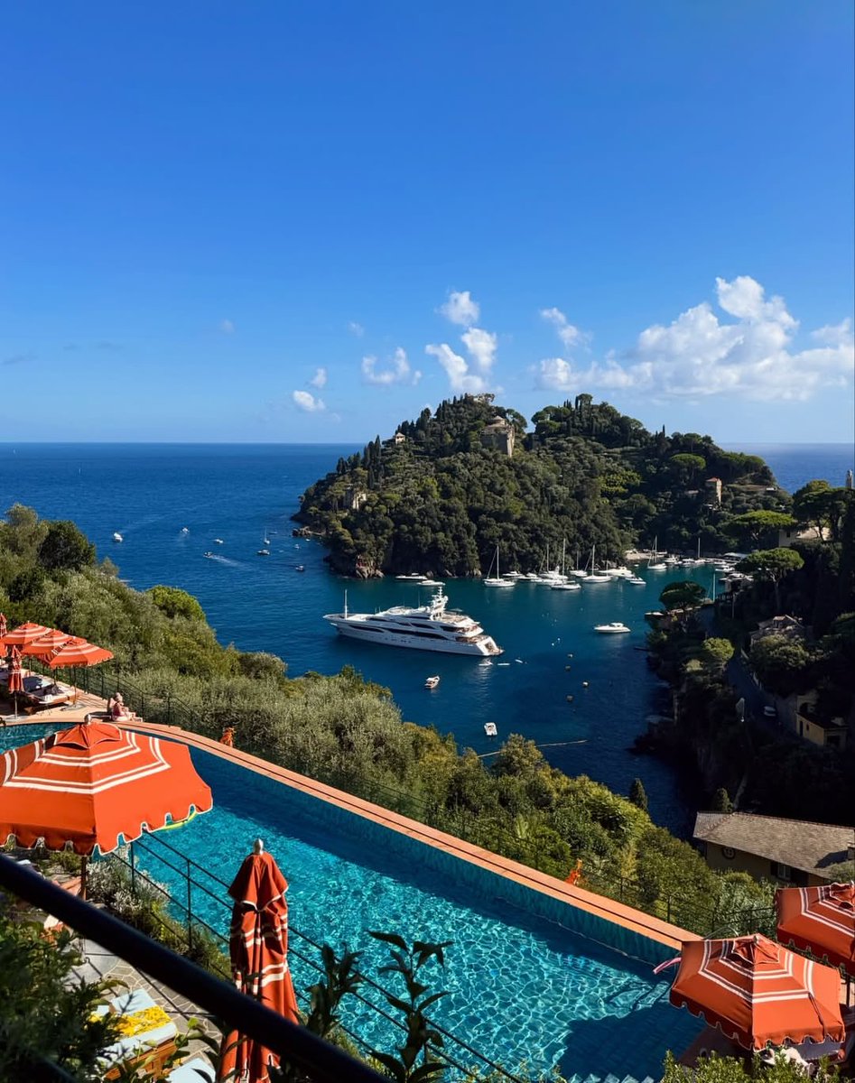 Travel Guide tweet media