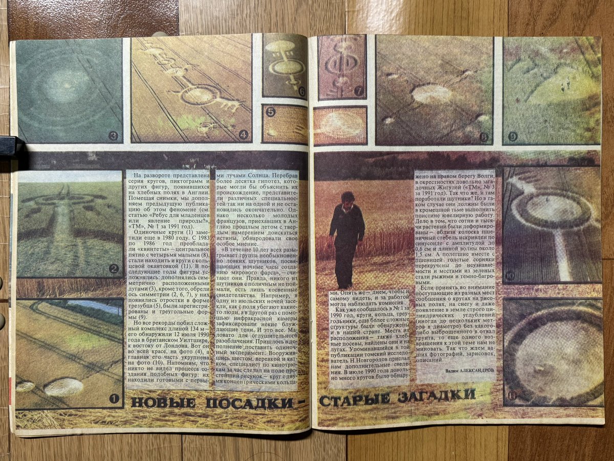 クシャナの兄貴(三男)(????の??)👁 tweet media