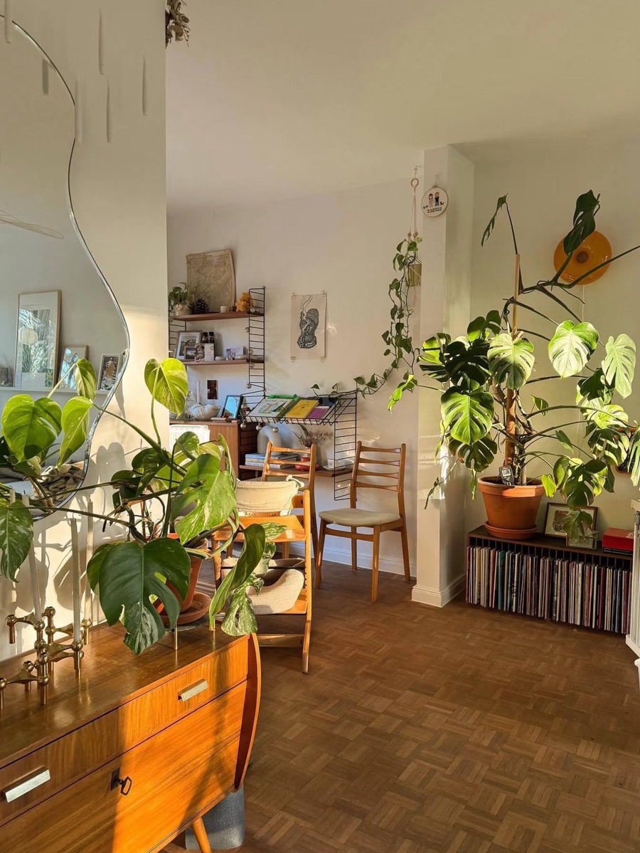 Maria Tascon tweet media