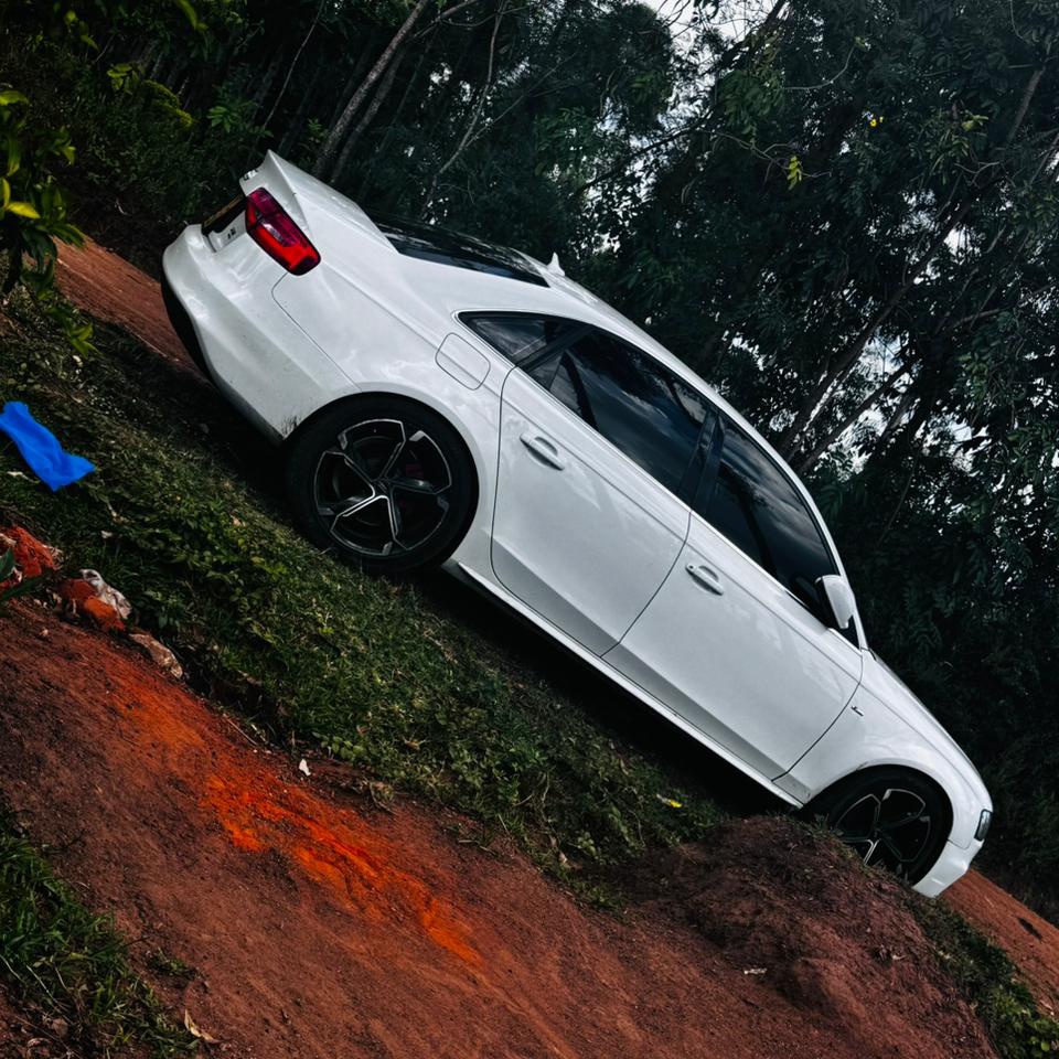 Kamùdù Dragon tweet media