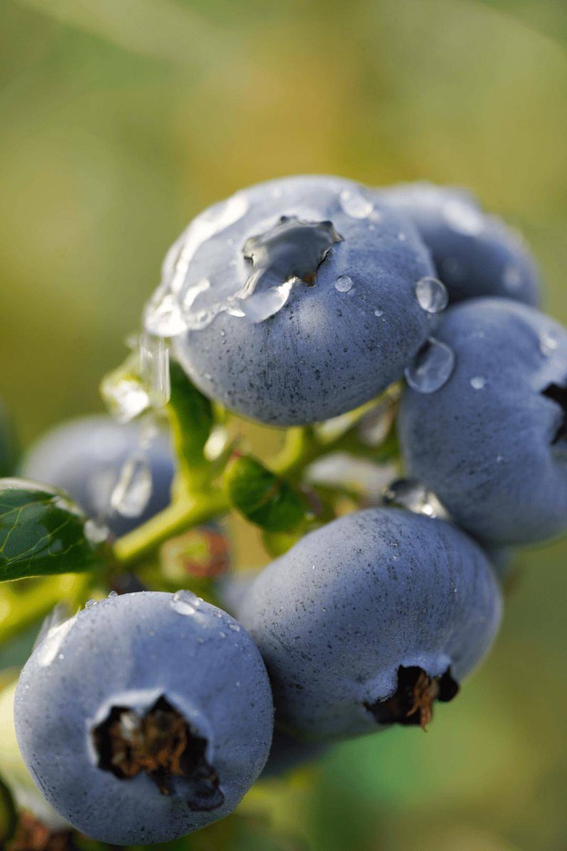 Альберт tweet media