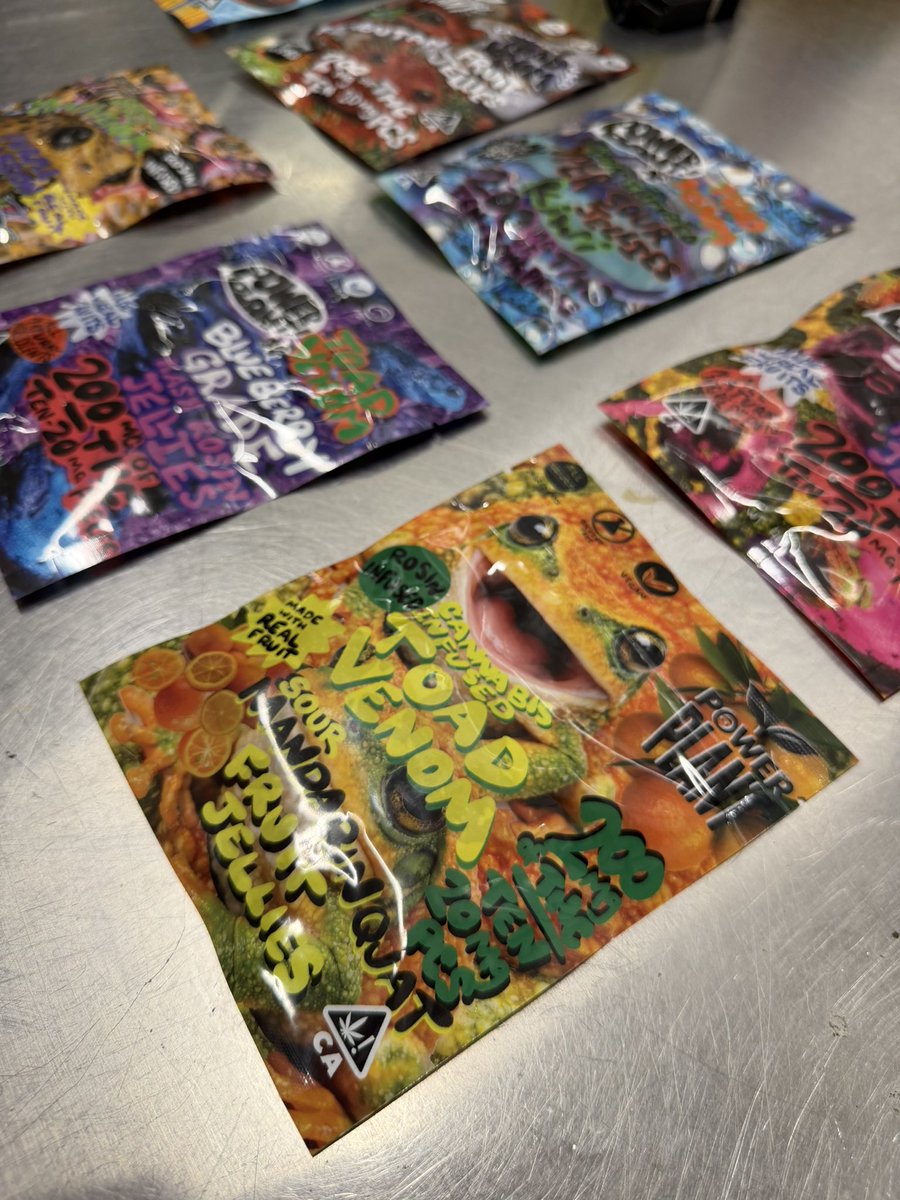 Hash Tribe 🏕 tweet media