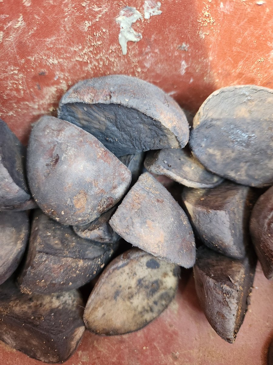 (속지판매중) 토끼풀 tweet media