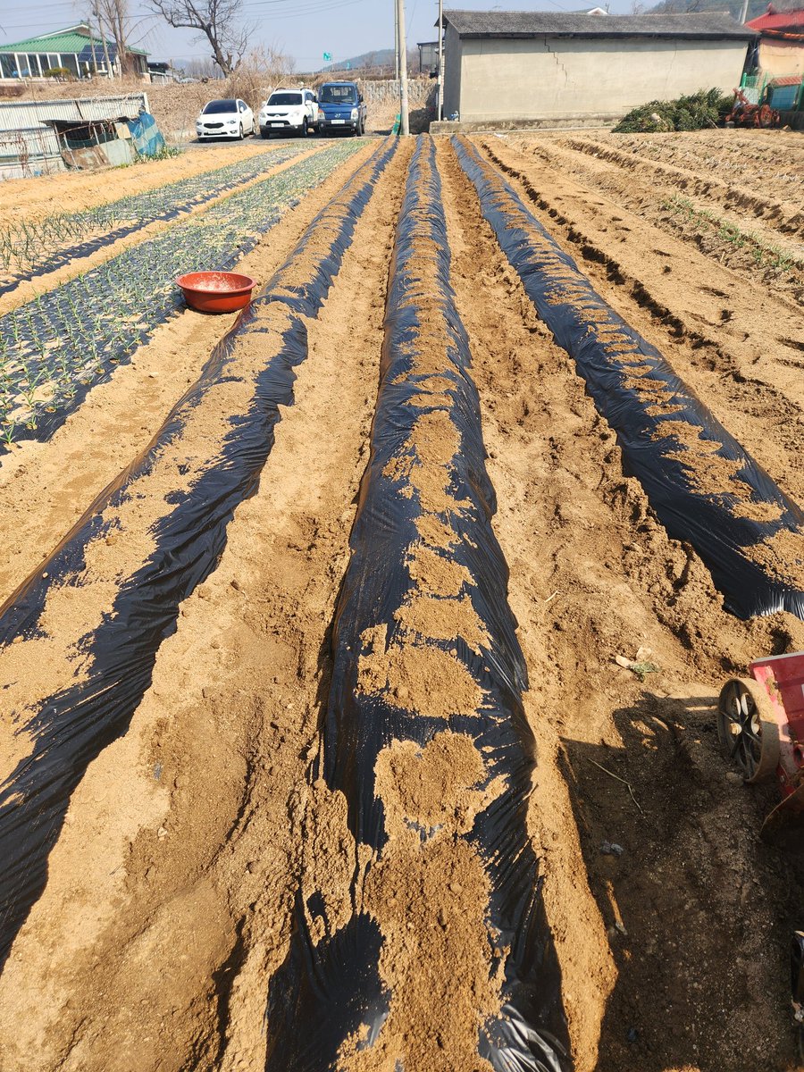 (속지판매중) 토끼풀 tweet media